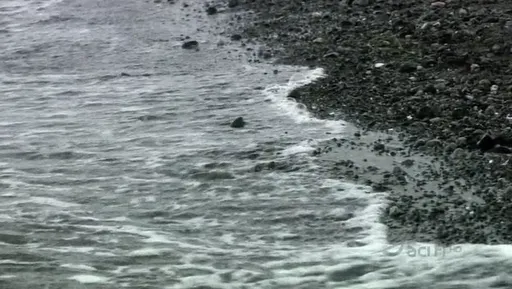 Las olas rompiendo en una playa de arena oscura en Battlestar Galactica